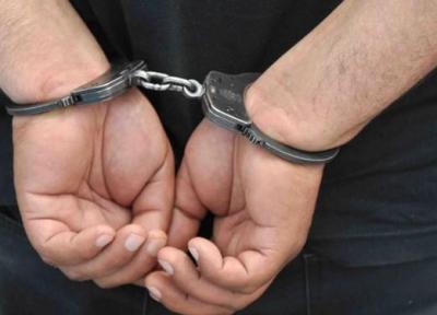 مدیرعامل سابق سازمان تدارکات پزشکی بازداشت شد
