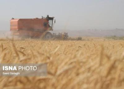 شروع عملیات بیمه گری محصولات زراعی ویژه طرح جهش فراوری در دیمزارهای آذربایجان شرقی