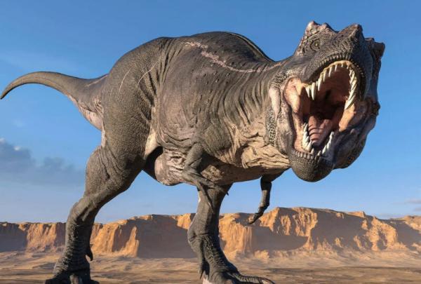 تیرکس ها قادر به استفاده از ابزار بودند؟ ، نتایج عجیب یک کشف تازه درباره دایناسورهای گوشتخوار
