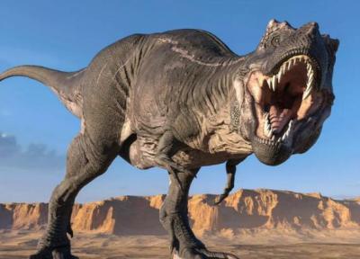 تیرکس ها قادر به استفاده از ابزار بودند؟ ، نتایج عجیب یک کشف تازه درباره دایناسورهای گوشتخوار