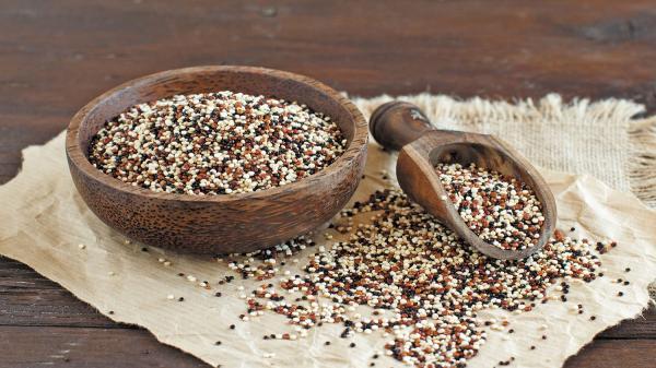 کینوا چیست و چه خواصی دارد؟ طرز مصرف و مضرات این دانه کینوا چیست و چه خواصی دارد؟ طرز مصرف و مضرات این دانه